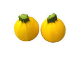 Courgette jaune ronde Provence 
