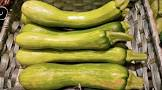 Courgette violon Provence 