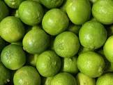 Citron vert cat 2 