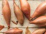 Echalote épluchée 2kg UE 