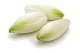 Endive Belgique 