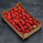 Fraise litée 1kg Espagne,Maroc 
