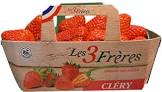 Fraise clery 500gr Provence 