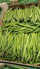Haricot vert fin 4kg Maroc 