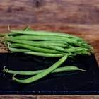 Haricot vert très fin Maroc 