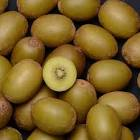 Kiwi cal 36 Nouvelle Zelande 