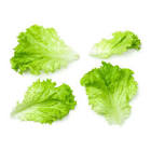 Laitue feuille 500gr 
