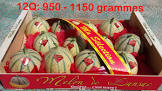 Melon charentais gros rubis de lansac 