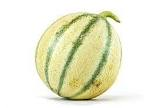 Melon charentais cal 9 Provence 