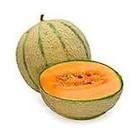 Melon charentais jaune cal 15 Espagne 