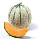Melon charentais cal 12 Maroc 