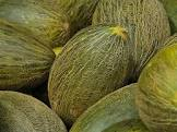 Melon vert Brésil 