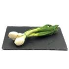 Oignon botte France 
