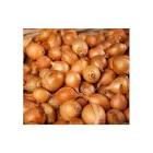 Oignon grelot 1kg France 