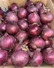Oignon rouge Espagne 