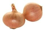 Oignon rose de Bretagne 