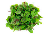 Micro-pousse oseille rouge israel 