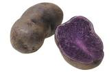 Pomme de terre vitelotte/prunelle/bleu d artois 