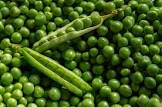 Pois gourmand Provence 