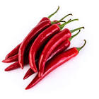 Piment rouge Espagne/Maroc 